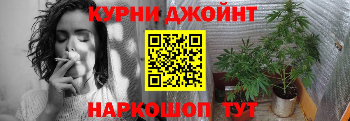 Бошки Шишки ГИДРОПОН Слободской